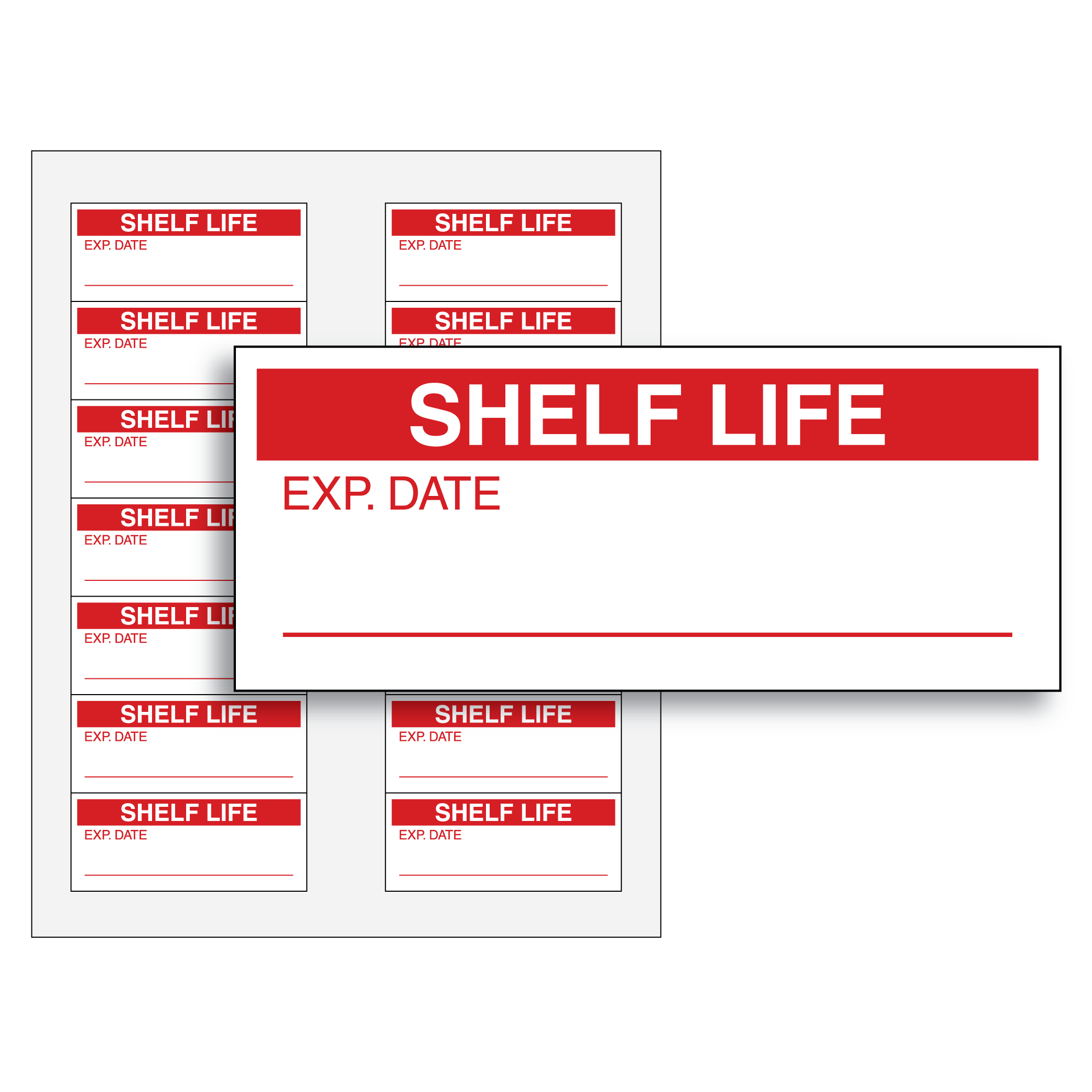 def shelf life